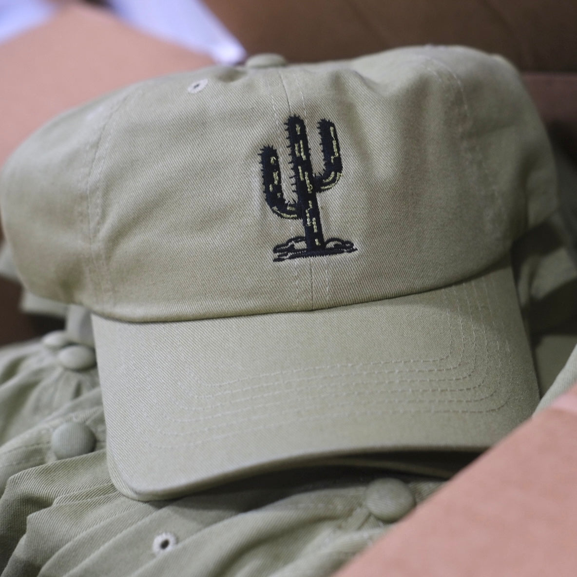 Cactus Dad Hat