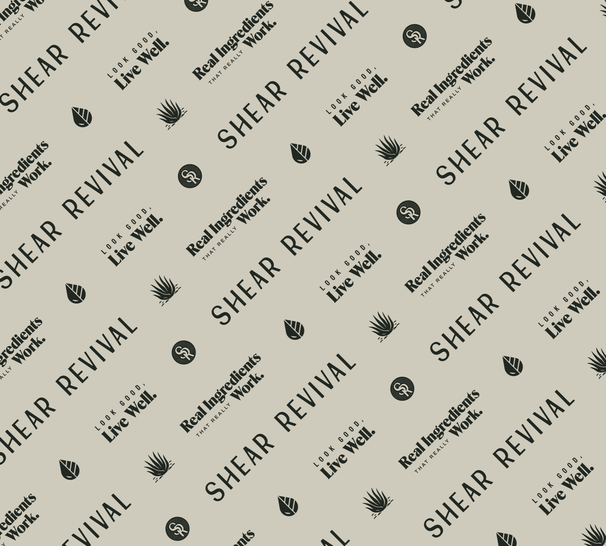 image_10e0b59f-b2fd-4630-bc0f-83a8b3cf2ff5.png